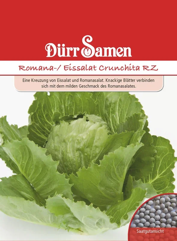Neuartiger Romana-/Eissalat Crunchita RZ