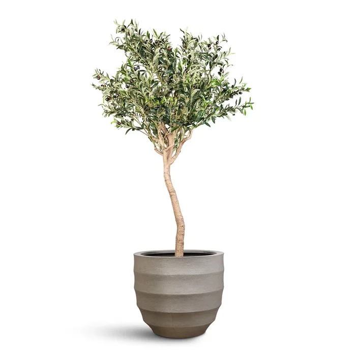 Olive Tree – Artificial