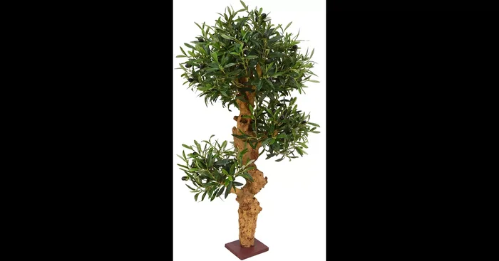 OLIVENBAUM BONSAI Kunstpflanze