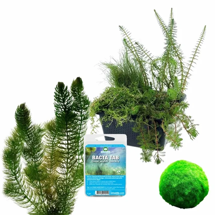 Oxygen plant kit 100-400L