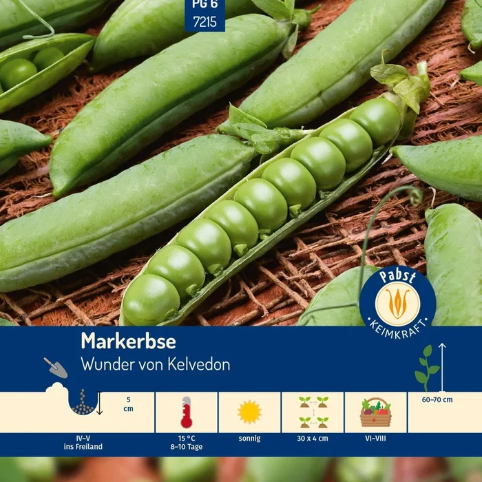 Pabst Keimkraft Markerbsen Wunder von Kelvedon