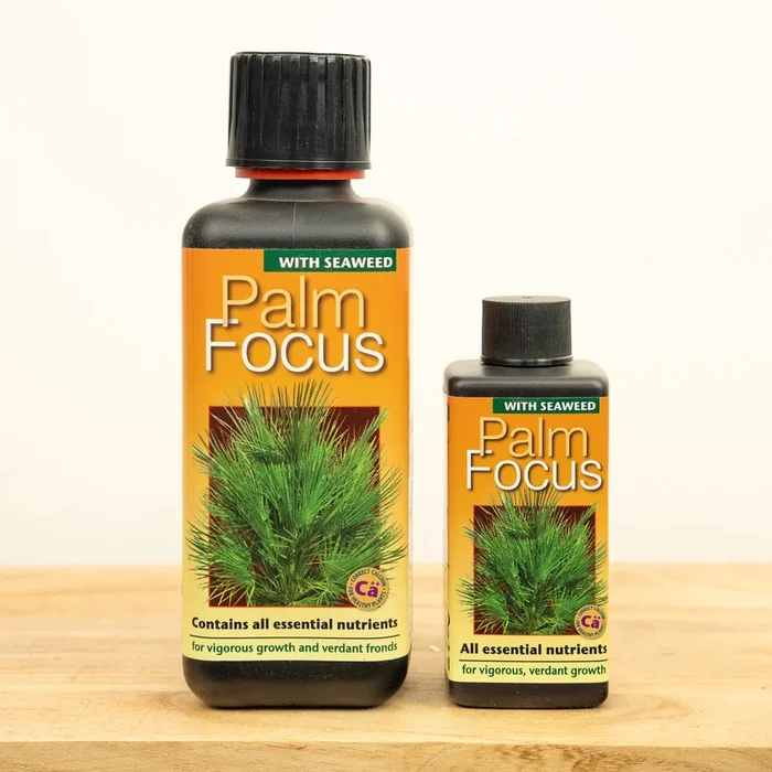 Palm Focus – Plant Food