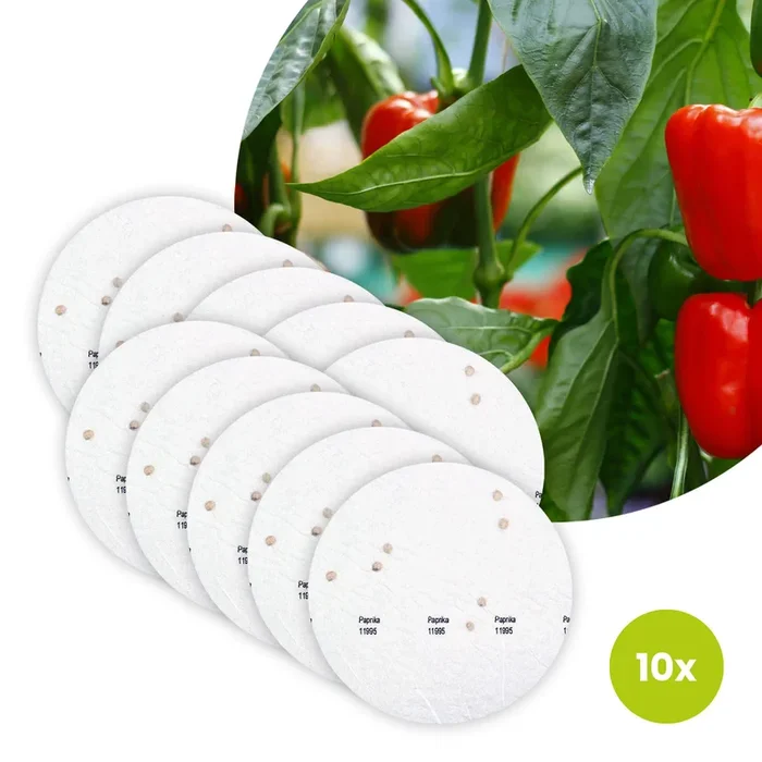Paprika Bio-Gemüse – 10 Saatscheiben