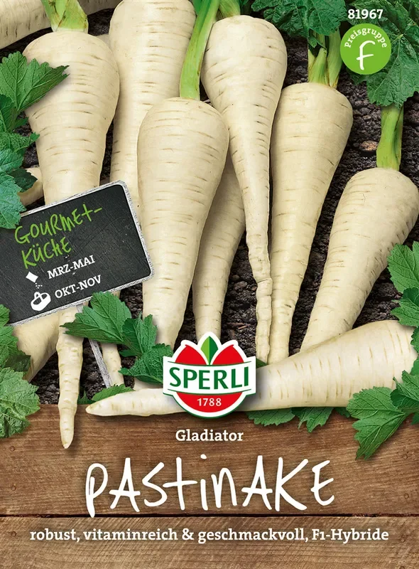 Pastinake ‚Gladiator F1‘