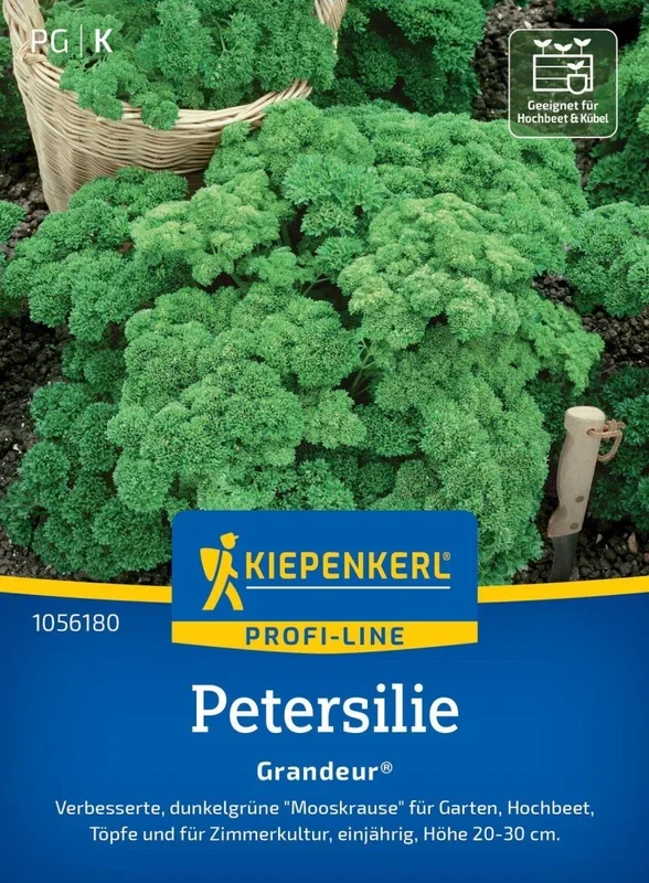 Petersilie Grandeur®, Verbesserte Mooskrause – für Garten, Hochbeet, Töpfe und Zimmerkultur