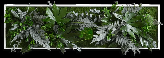 Pflanzenbild im Dschungeldesign, weißer Rahmen 40×140 cm