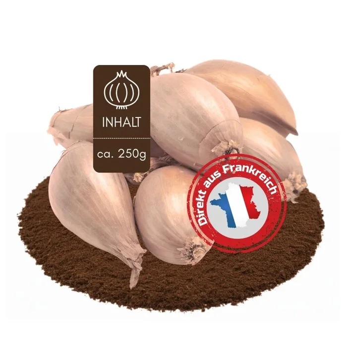 Pflanzschalotte Griselle – 250 g aromatische Feinschmeckerqualität aus der Bretagne