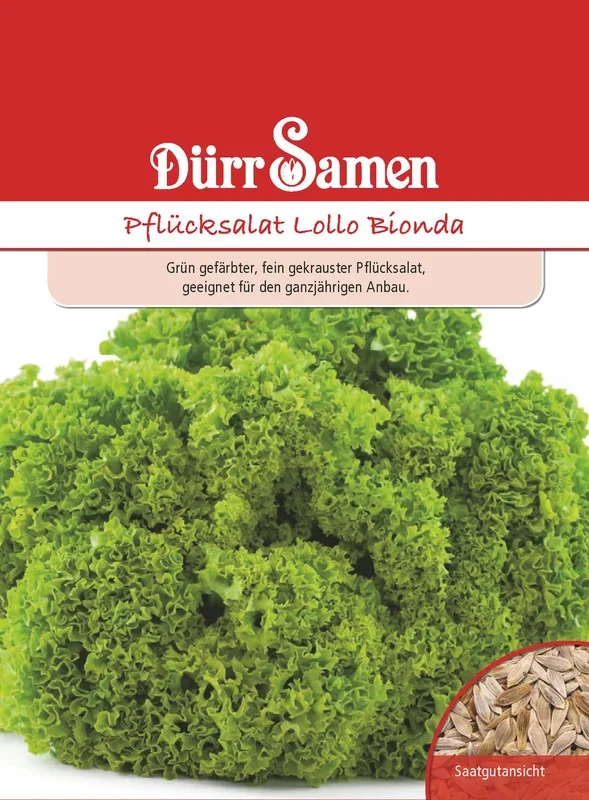 Pflücksalat Lollo Bionda [MHD 12/2024]