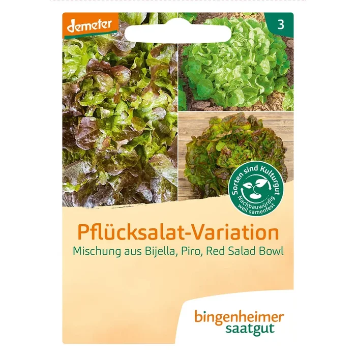 Pflücksalat Mischung Bio-Gemüse-Samen