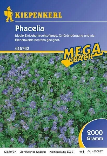 Phacelia Bienenweide Gründünger 2kg
