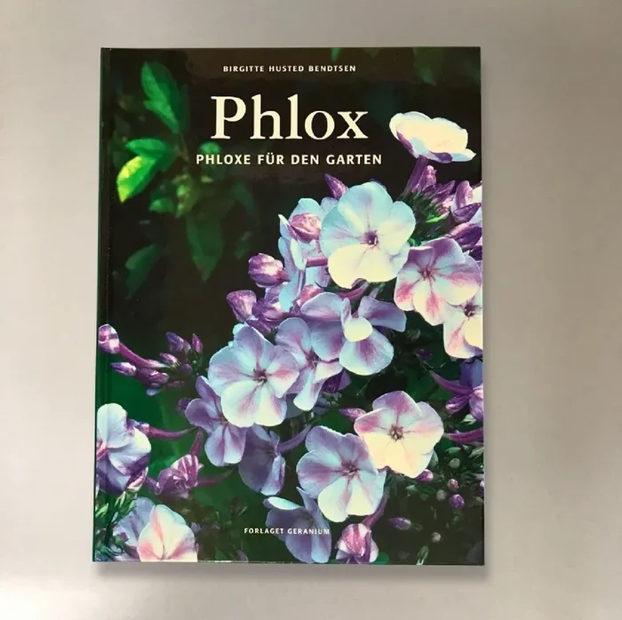 Phlox, Phloxe für den Garten (Birgitte Husted Bendtsen)
