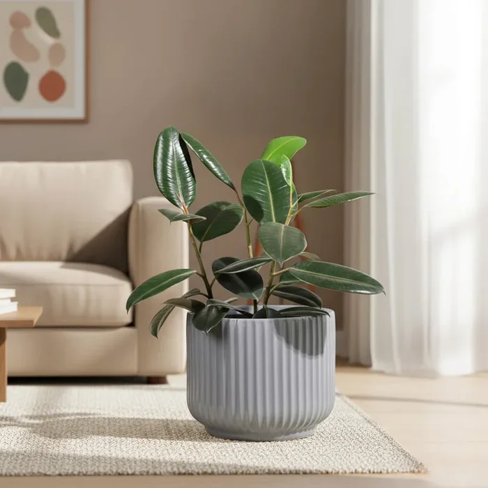 Phoenix Ceramic Pot (12.5 Inch Diameter)