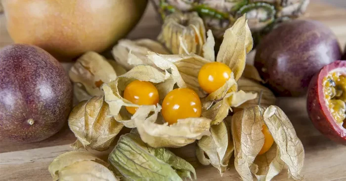 Physalis peruviana Goldvital