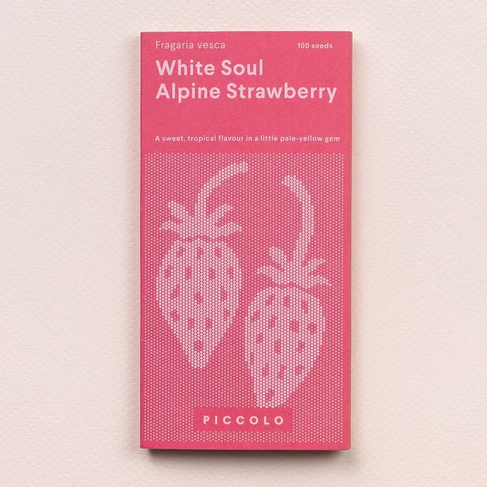 Piccolo Seeds Alpine Erdbeere „White Soul“