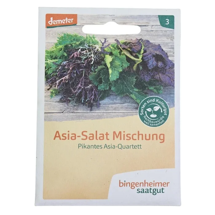 Pikantes Asia-Quartett, Asia-Salat, kombiniert vier geschmacklich vielfältige Salate, Bingenheimer