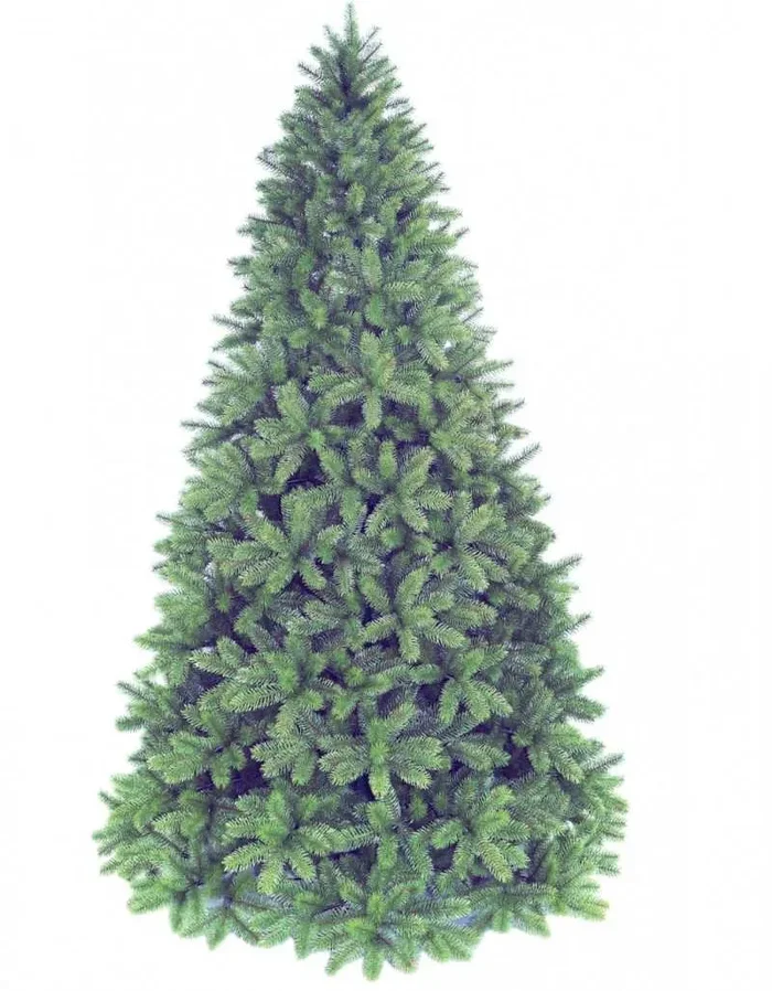 Poly Groden Immergrüne Weihnachtsfichte