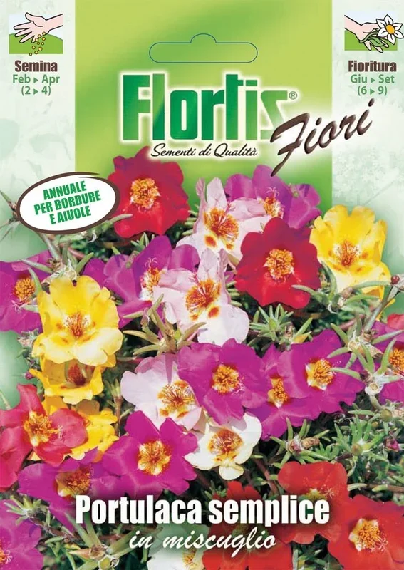 Portulakröschen Mischung