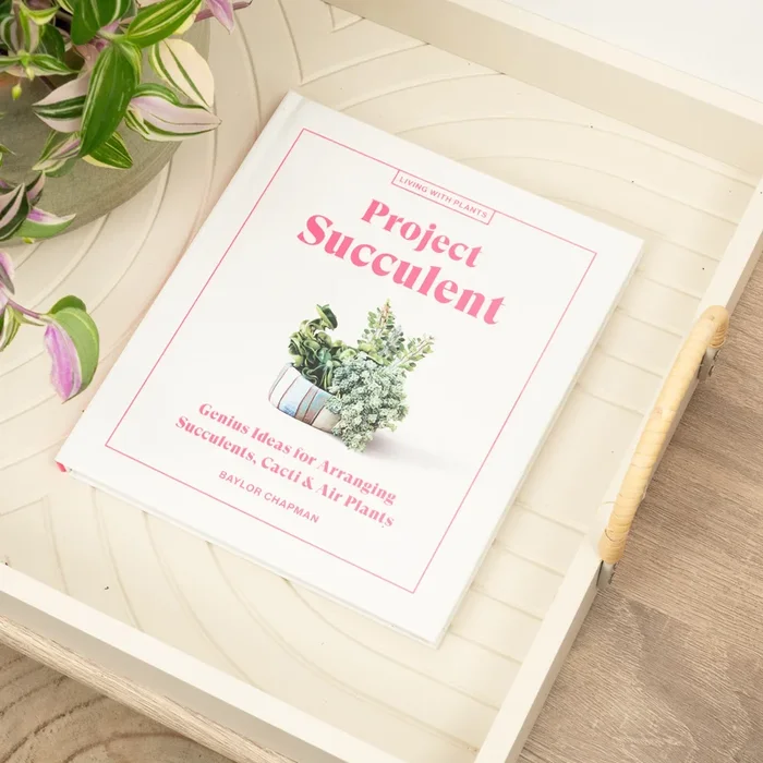 Project Succulent – Genius Ideas for Arranging Succulents, Cacti and Air Plants by Baylor Chapman