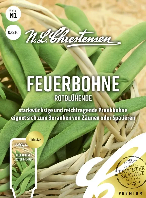 Prunkbohnensamen ‚Rotblühende‘
