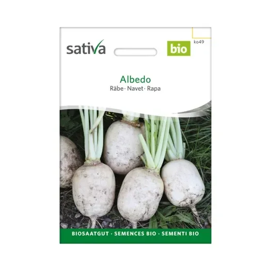 Räbe Weisse Räbe Biosamen ko49
