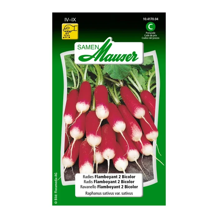 Radies ‚Flamboyant 2 Bicolor‘
