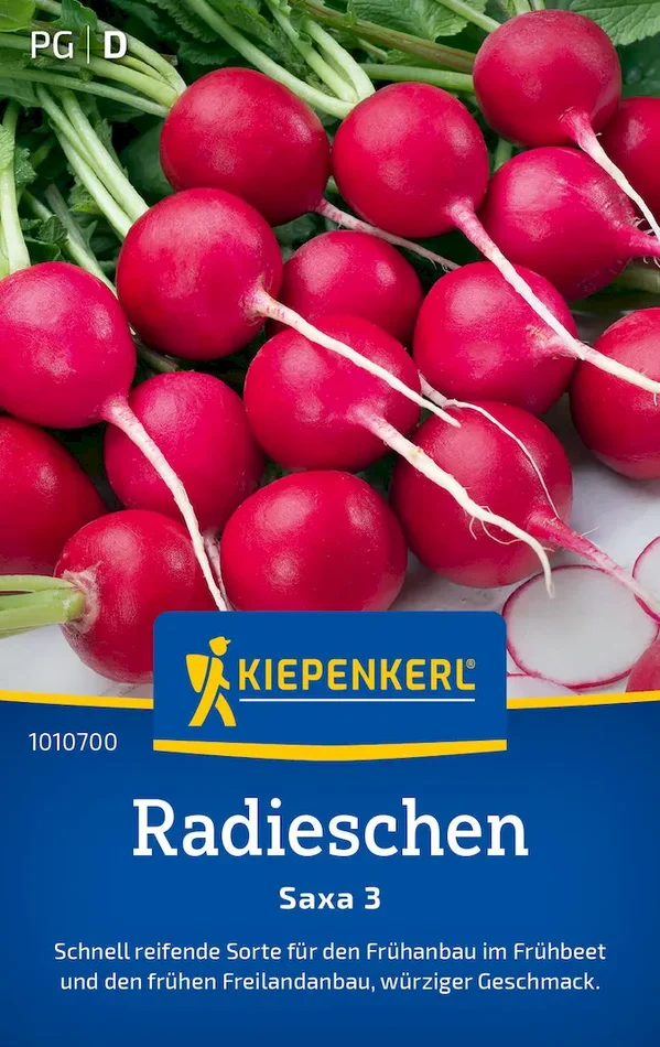 Radieschensamen Saxa 3