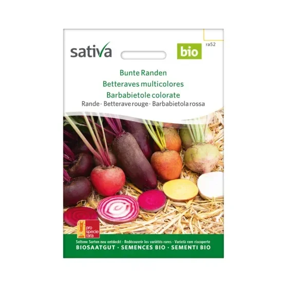 Rande Bunte Randen Biosamen ra52