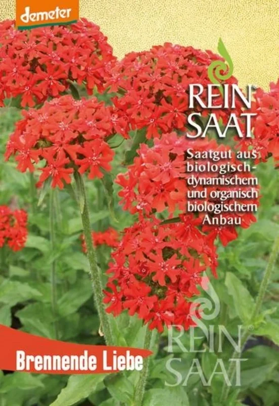 ReinSaat Brennende Liebe
