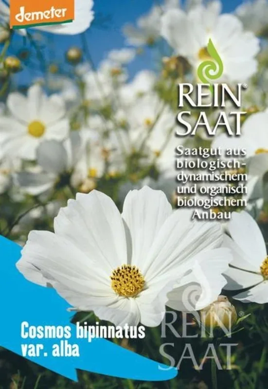 ReinSaat Cosmea, weiß