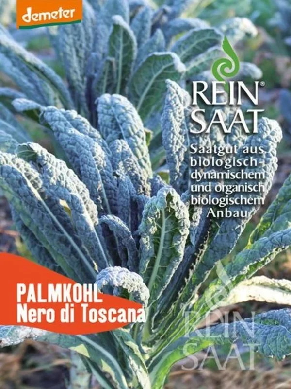 ReinSaat Palmkohl „Nero di Toscana“