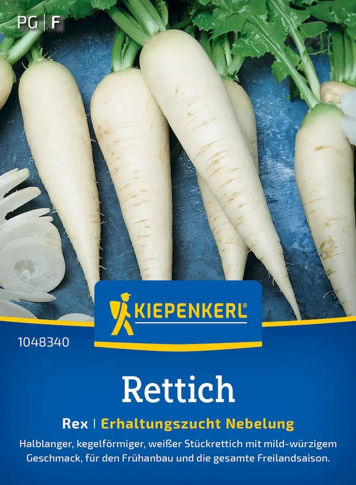 Rettichsamen Rex