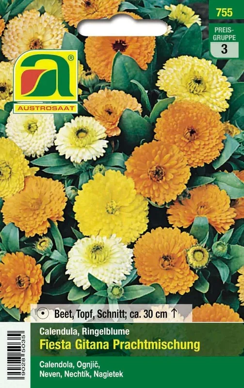 Ringelblume Fiesta Gitana Prachtmischung [MHD 12/2025]
