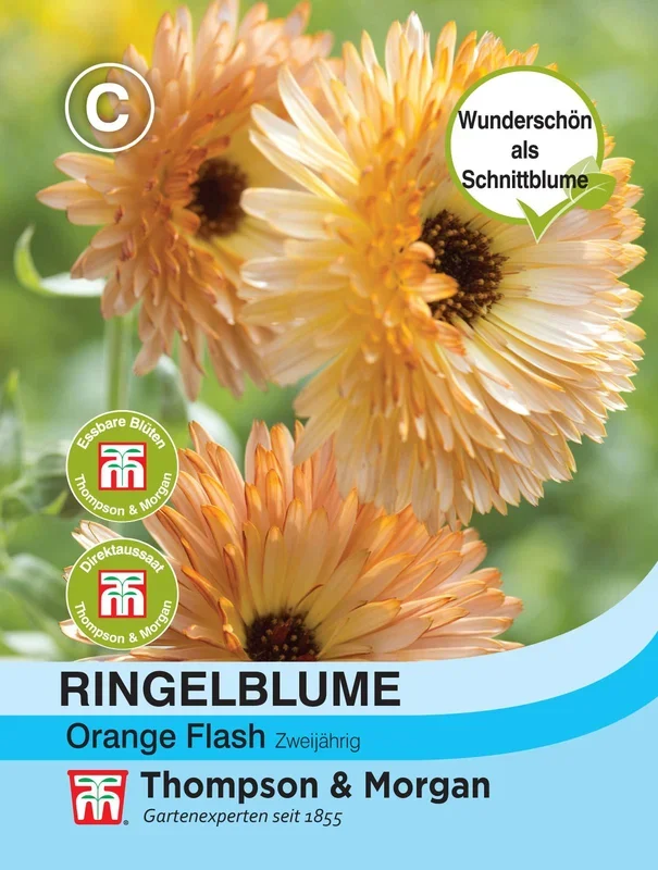 Ringelblume Orange Flash