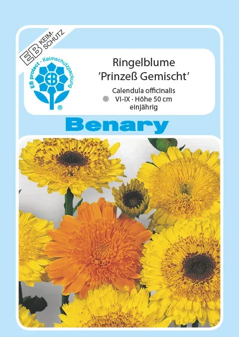 Ringelblume Prinzeß Mix