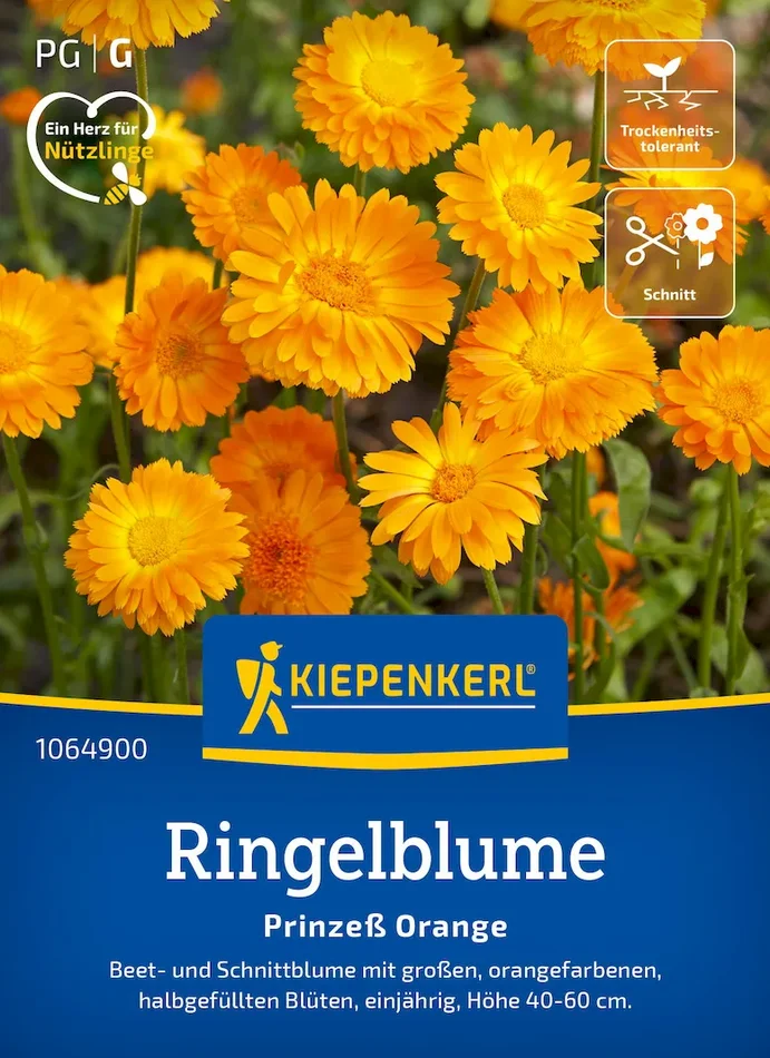Ringelblumensamen Prinzeß Orange