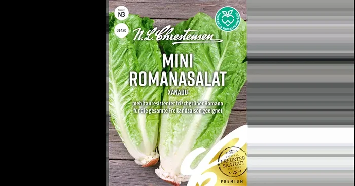 Romanasalat Xanadu