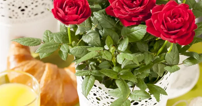 Rosa beau monde mix