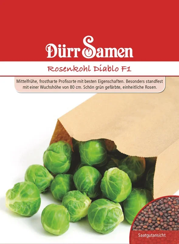 Rosenkohl Diablo F1
