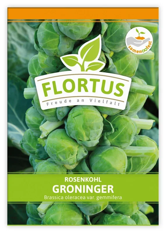 Rosenkohl Groninger