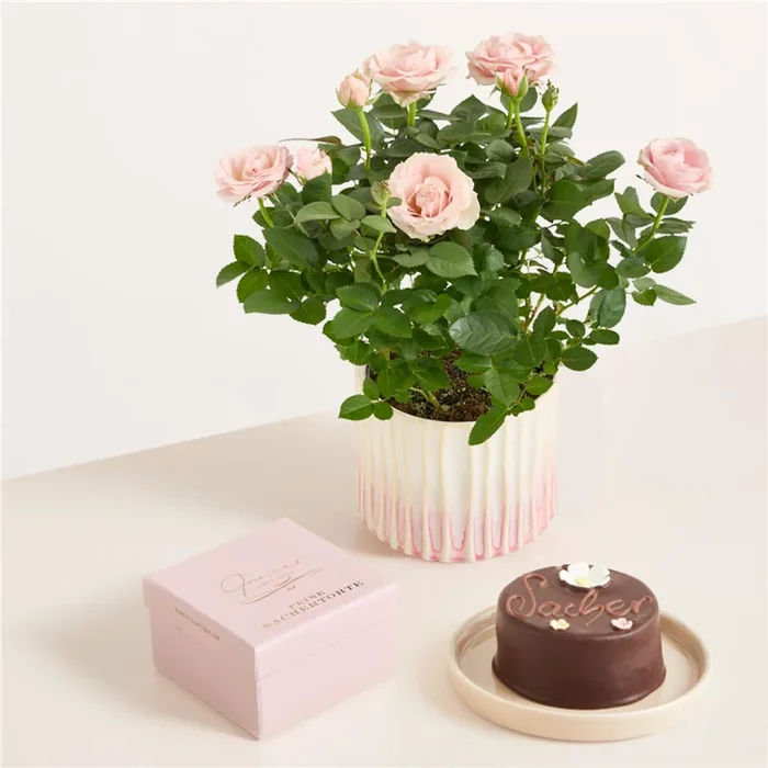 Rosy Pastel mit Blumen-Sachertorte 200g