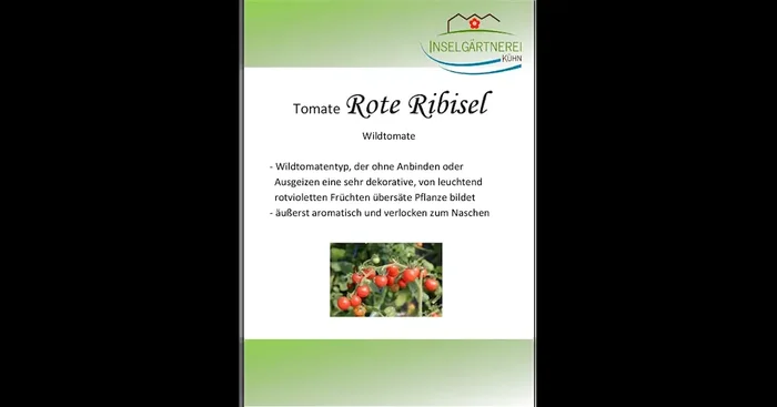Rote Ribisel