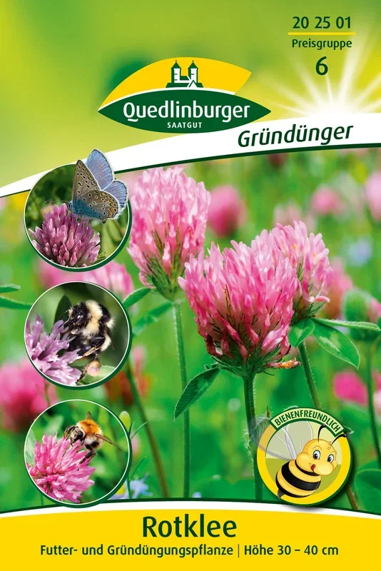 Rotklee mehrjährig (50 g)
