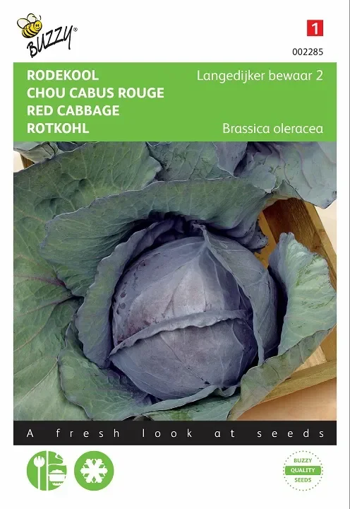 Rotkohl Samenm Langedijker Dauer