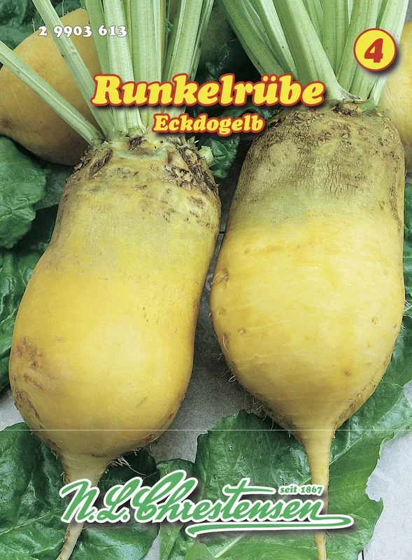 Runkelrübe Eckdogelb [MHD 01/2026]