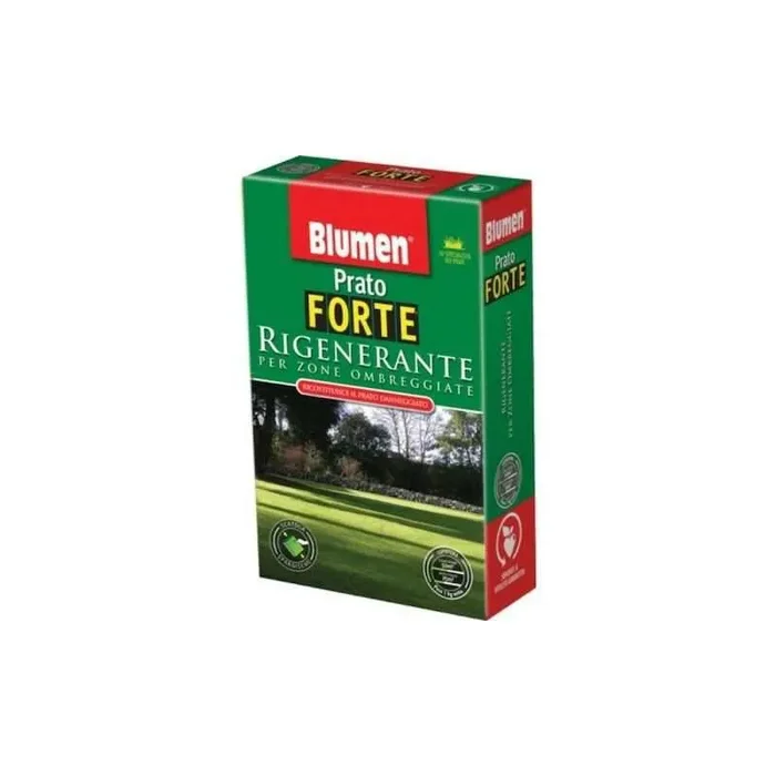Saatgut zur Rasenregeneration für schattige Flächen von 500 gr