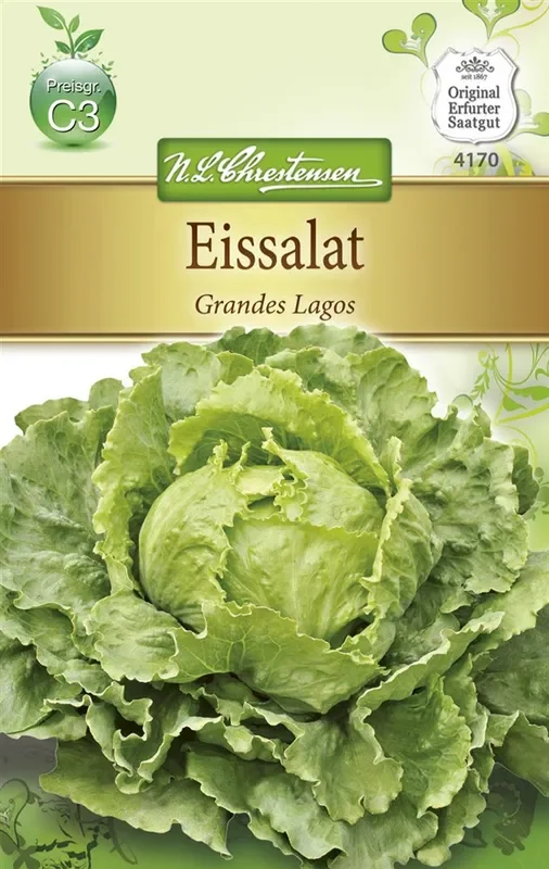 Salatsamen ‚Grandes Lagos‘