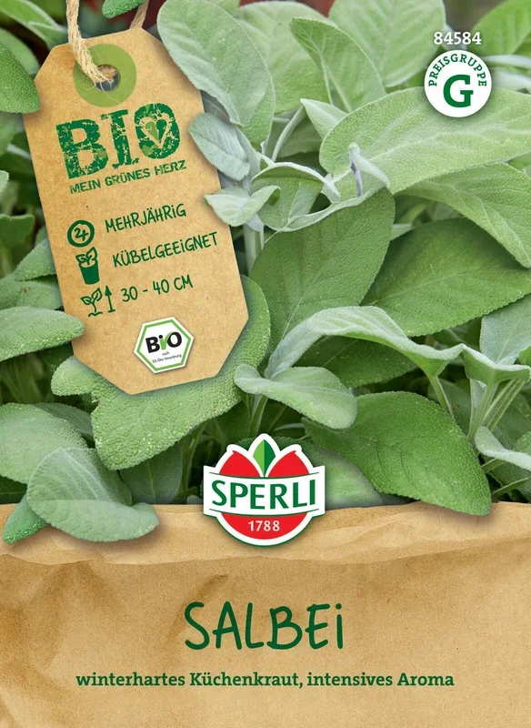 Salbei [MHD 01/2025]