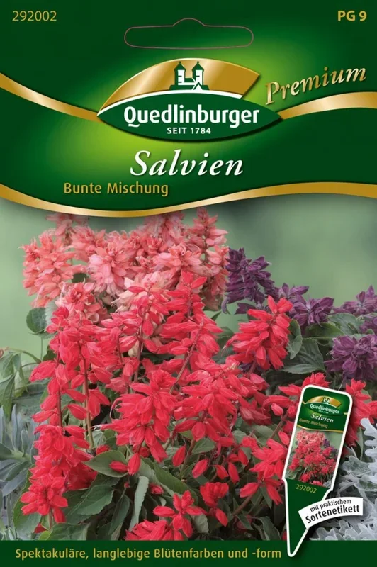 Salvien Bunte Mischung