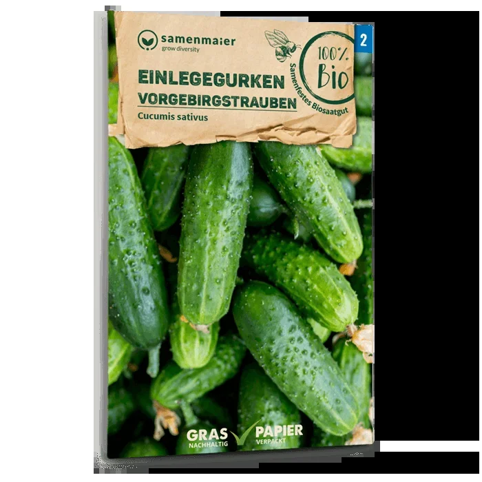 Samen Maier BIO Einlegegurken Vorgebirgstrauben