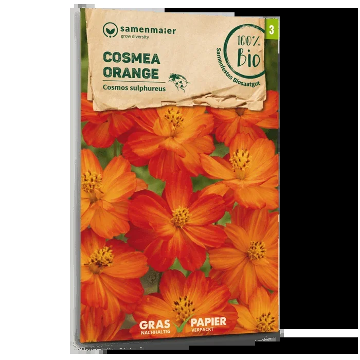 Samen Maier BIO Schmuckkörbchen orange